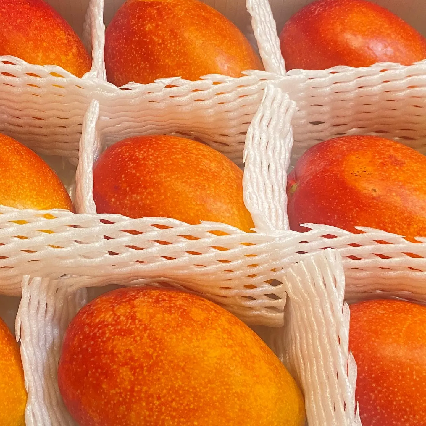 「宮古島マンゴー🍧」