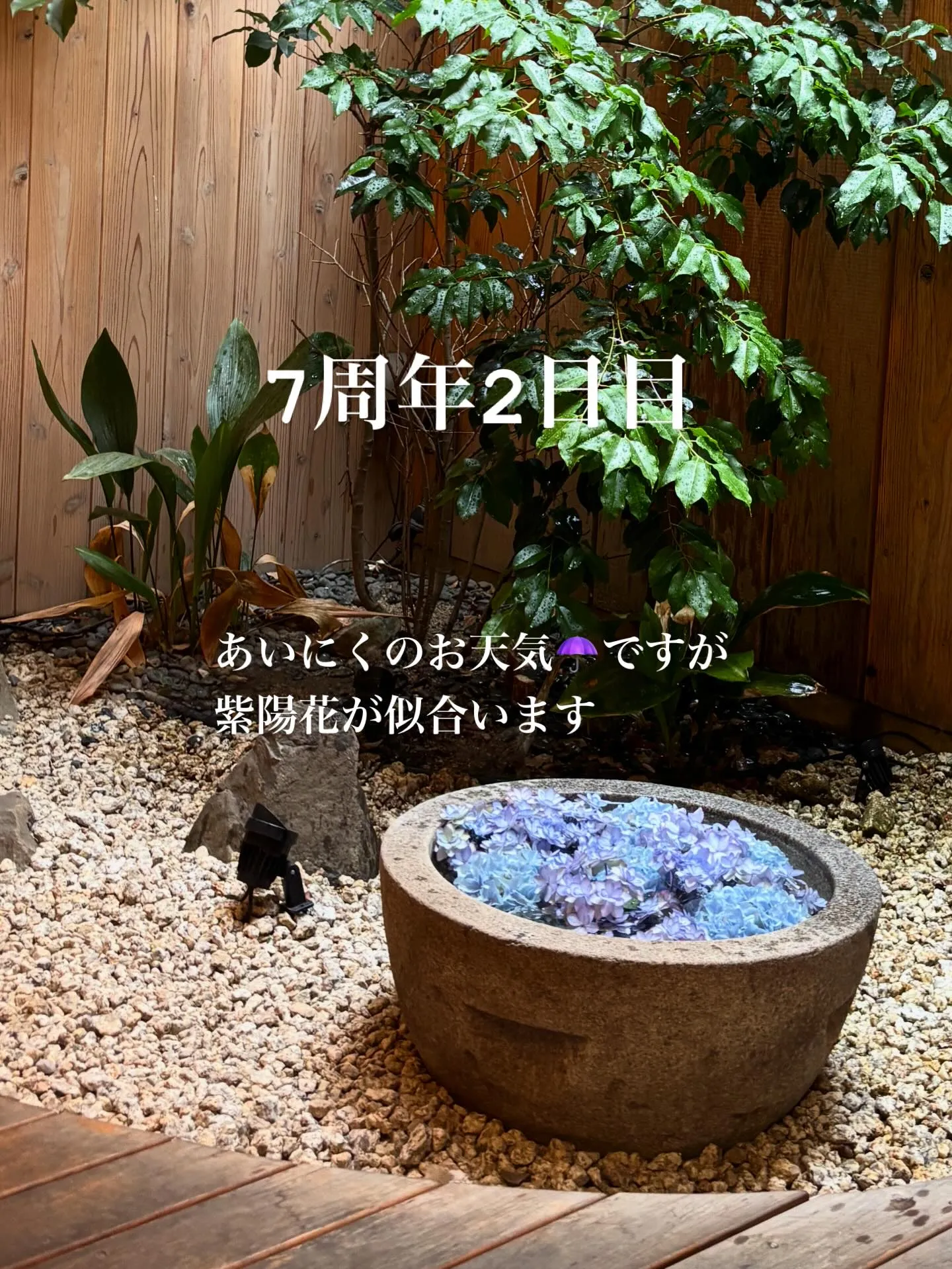 7周年2日目✨