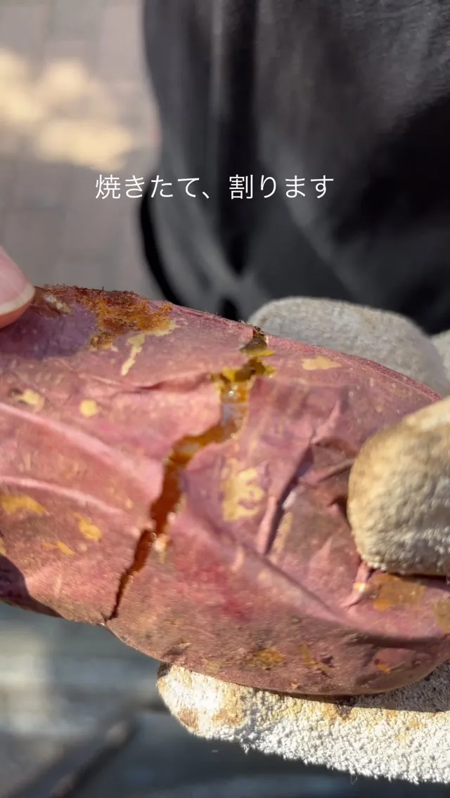 じっくり焼き上げた焼き芋。